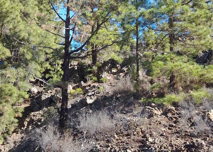 Casa Carla Apartment